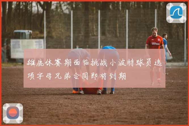 雄鹿休赛期面临挑战小波特球员选项字母兄弟合同即将到期
